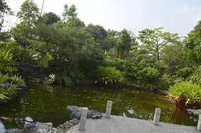 ��԰����