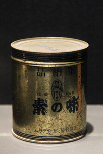 �ɻ����վ�����Ͱ