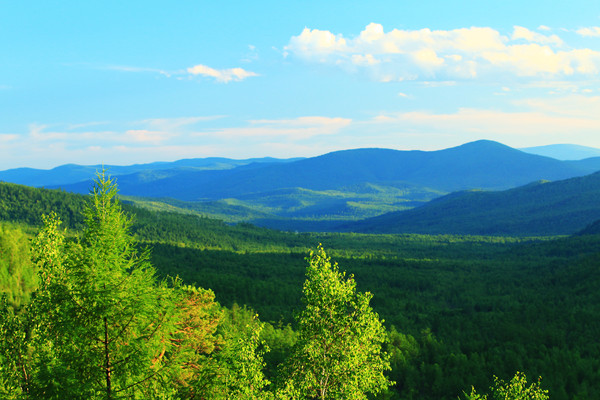 �ֺ�����