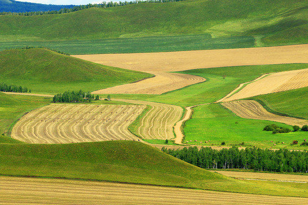 ũ������