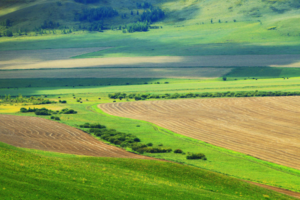 ��Ұ�＾���