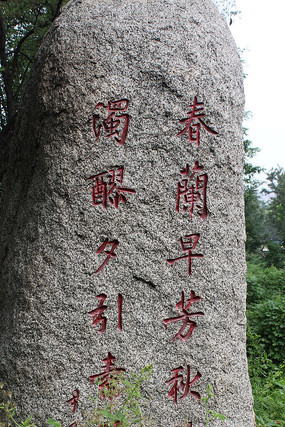 �������㷶������