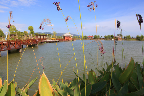 ��ɫ����