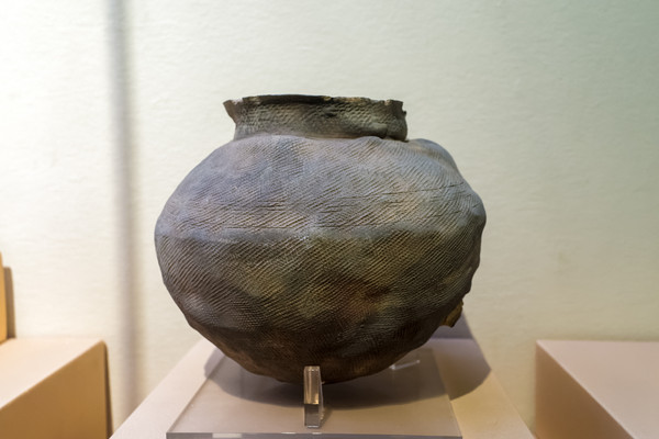 ����ʱ���չ�