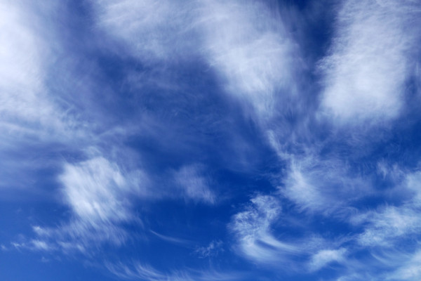 ��翵��Ʋ�