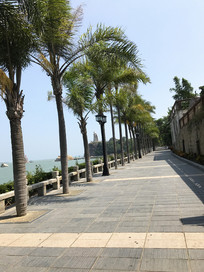 �����캣����