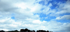 �����Ͼۼ����Ʋ�