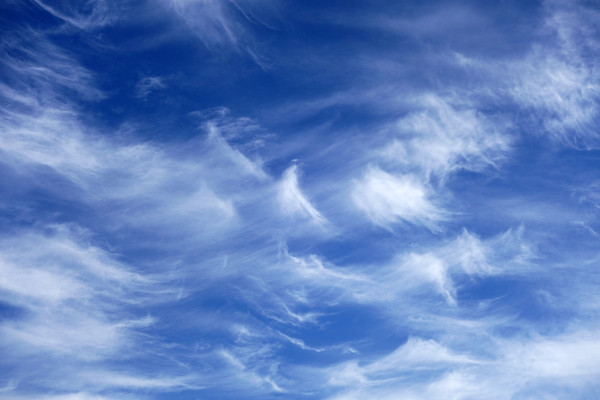 �����ƾ�ͼ