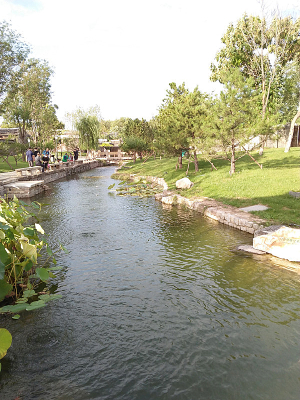 �ϱ�����ͷ��԰��һ��