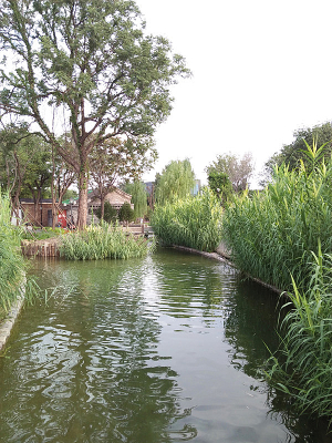 �ϱ��������԰��һ��