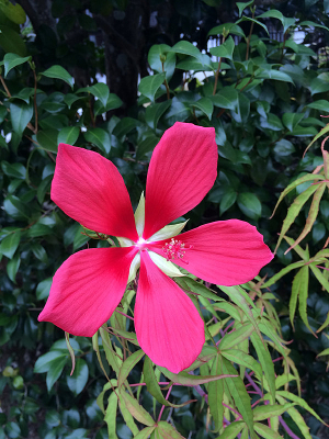 ��������Ұĵ��