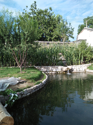 �����԰��һ��