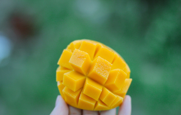 ���µ�â��