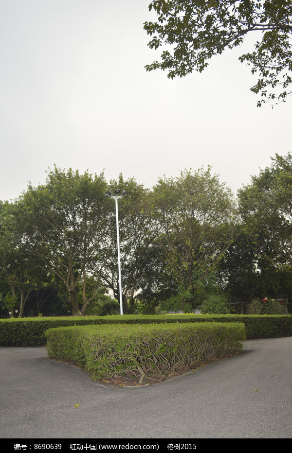 公园绿化景观图片