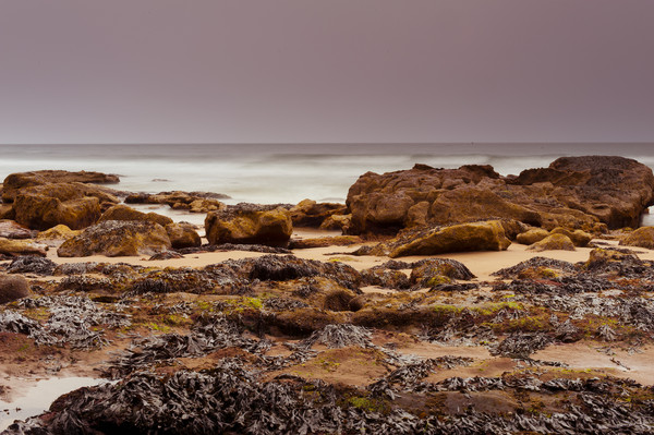 �����µ���ʯ