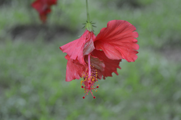 �컨��ɣ��