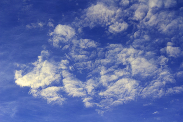 �����ϵı���