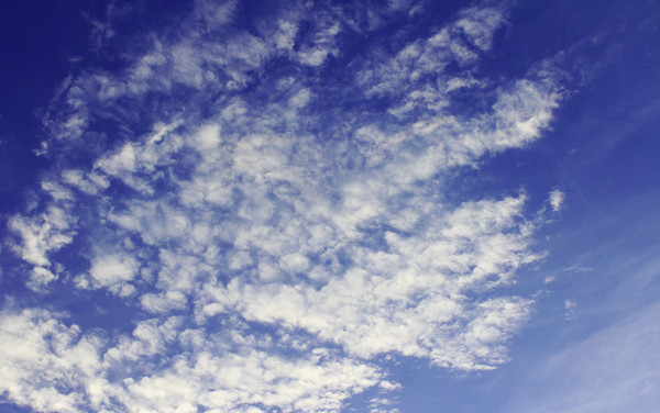 �峿��ɫ��յİ���