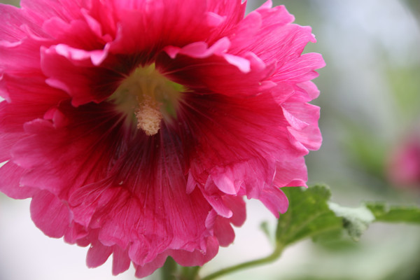 ���ɫ������д