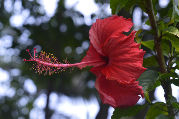 �ļ������ĺ��ɣ