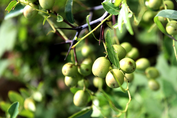 δ����ĺ���