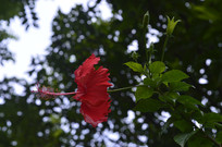 һ�����޵ķ�ɣ��