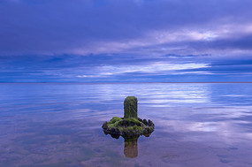 �Ʋ��º����澰