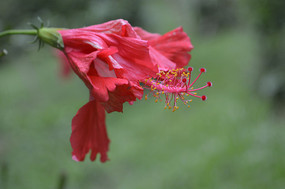 ֪������  