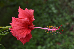 ����ĺ��ķ�ɣ��