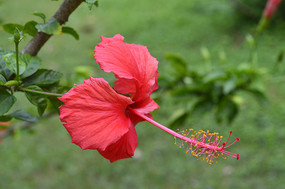 ����ĺ�������