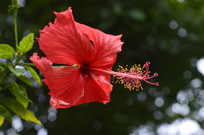 ��컨������Ӱͼ