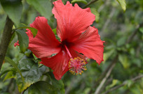 ��컨��Ӱ����ͼ