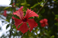 ��컨��д��Ӱͼ