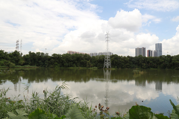 ��ˮ�е�������Ӱ