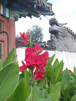 ��̶��԰�Ļ�һ��