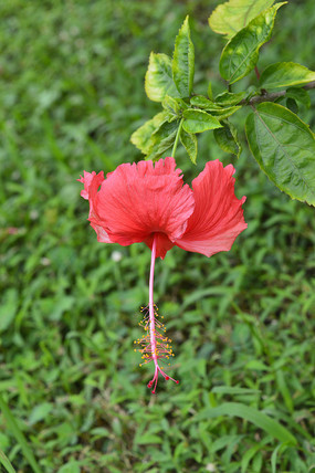 Ư���ķ�ɣ��