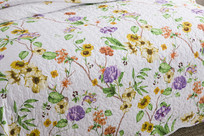 ���տ�����