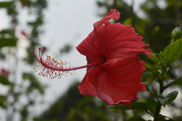 ���޶�Ŀ�ĳ���