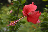 ���޶�Ŀ�ķ���