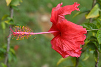 ���޶�Ŀ�ķ�ɣ