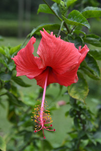 ���޶�Ŀ�ĺ��ɣ