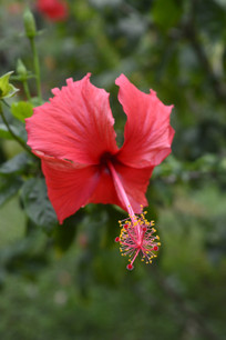 ���޶�Ŀ��ɣ��