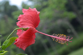 ���޶�Ŀ��ɣ��