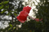 ���޶�Ŀ���յ��