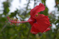 Ѥ�õķ�ɣ��