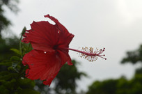 Ѥ�õķ�ɣ����