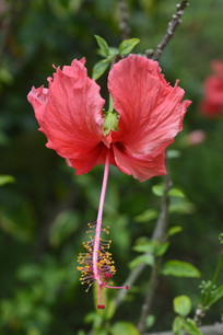 Ѥ���ķ�ɣ��