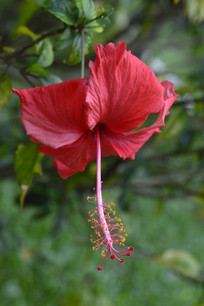 Ѥ���ķ�ɣ����