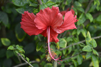 Ѥ���ĺ��ɣ