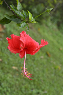 Ļ 